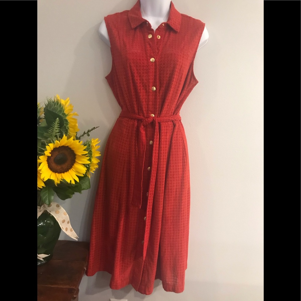 🦋Eva Mendes Dress Burnt Orange Sz Medium